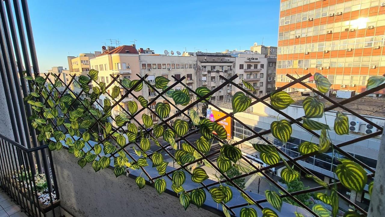 Windows City Apartment 贝尔格莱德 外观 照片